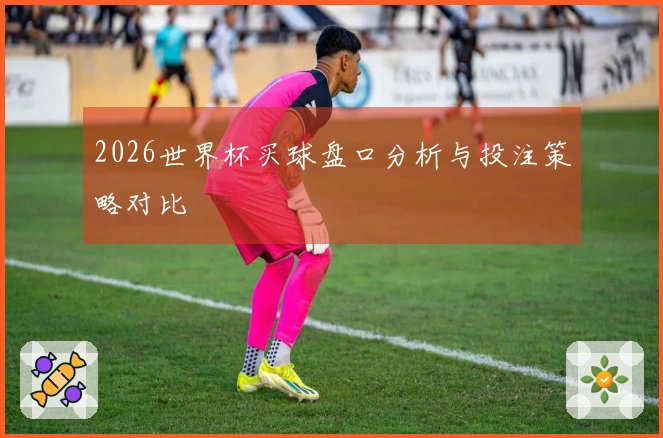 2026世界杯买球盘口分析与投注策略对比