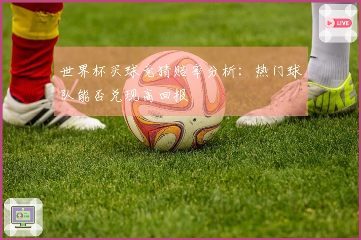 世界杯买球竞猜赔率分析：热门球队能否兑现高回报