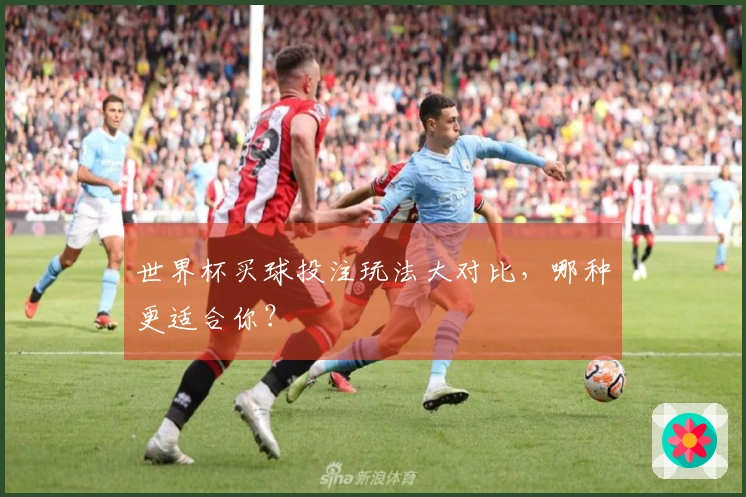 世界杯买球投注玩法大对比，哪种更适合你？