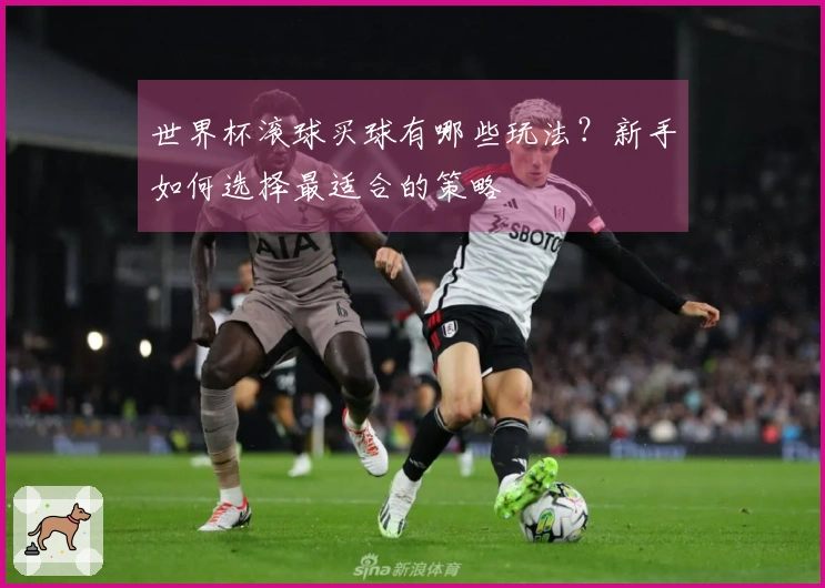 世界杯滚球买球有哪些玩法？新手如何选择最适合的策略