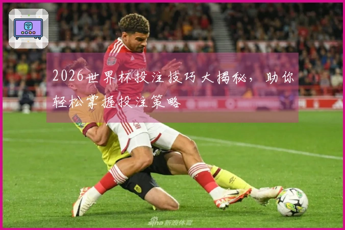 2026世界杯投注技巧大揭秘，助你轻松掌握投注策略