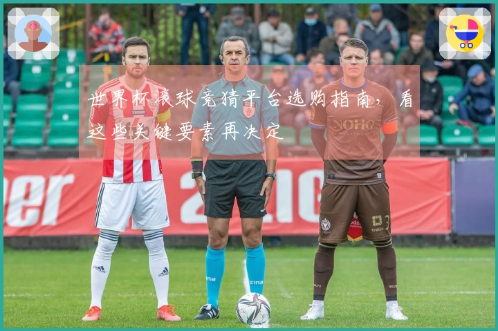 世界杯滚球竞猜平台选购指南，看这些关键要素再决定