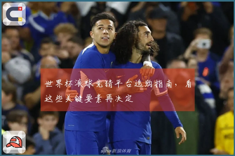 世界杯滚球竞猜平台选购指南，看这些关键要素再决定
